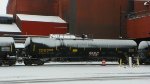 UTLX 956518